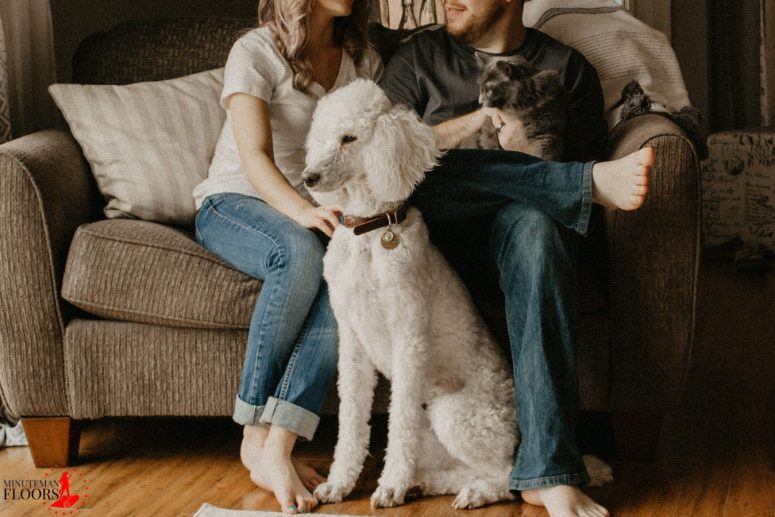 What is the Best Flooring for Pets to Prevent Damage and Scratches?