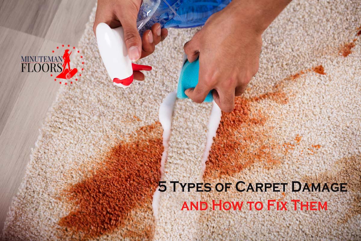 5 Types of Carpet Damage and How to Fix Them; A DIY Guide