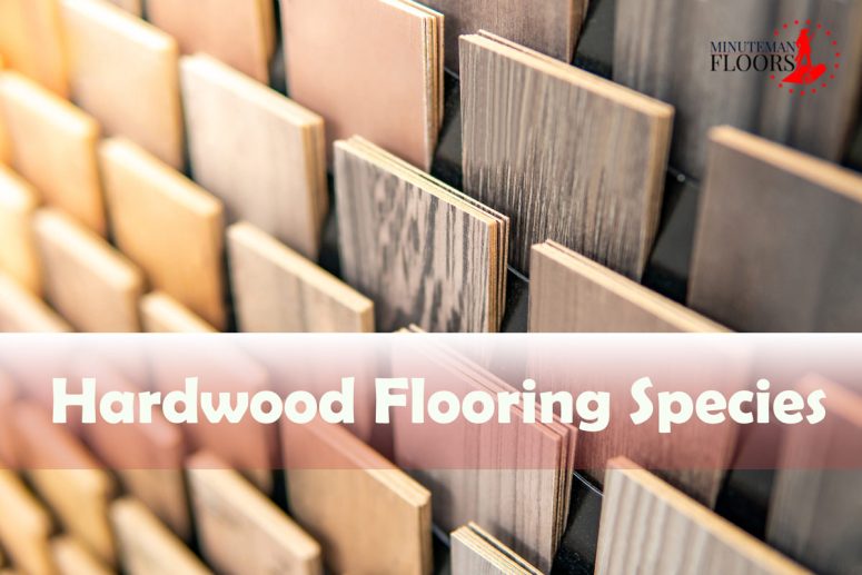 Hardwood Flooring Species